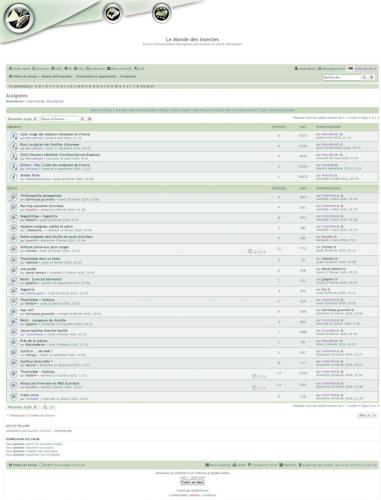 Réf. 337 289 : Forum sp.